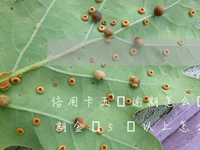 信用卡五張逾期怎么辦(信用卡多家信用卡逾期金額5萬以上怎么辦)