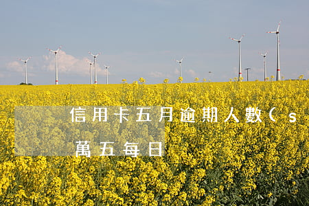 信用卡五月逾期人數(shù)(信用卡 逾期 萬五 每日)