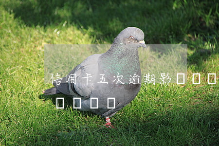信用卡五次逾期影響車貸(信用卡逾期兩次影響車貸嗎)