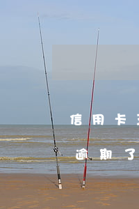 信用卡五百元逾期十年未還(欠信用卡五十萬逾期了)