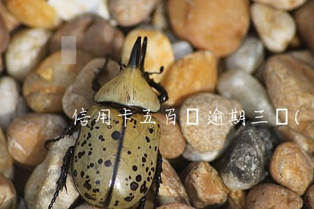 信用卡五百塊逾期三個(gè)月