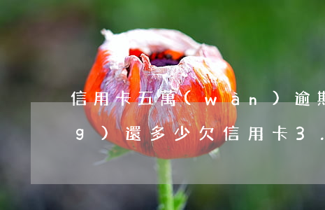 信用卡五萬(wàn)逾期三年應(yīng)還多少(欠信用卡3.5萬(wàn)逾期一年了該還多少)