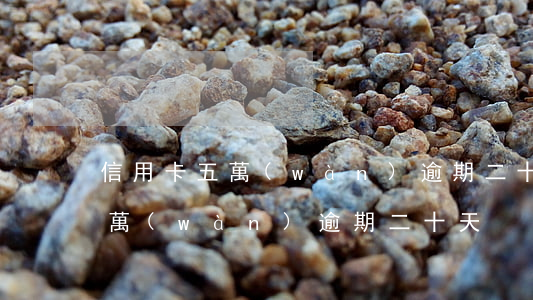 信用卡五萬(wàn)逾期二十天 信用卡五萬(wàn)逾期二十天