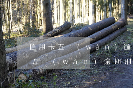信用卡五萬(wàn)逾期刑事訴訟(信用卡五萬(wàn)逾期刑事訴訟怎么辦)