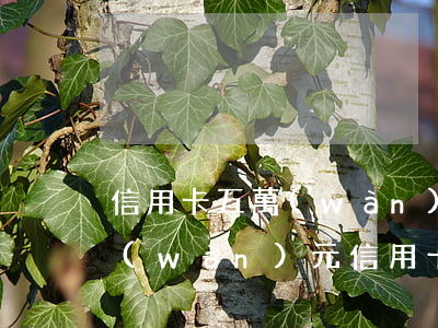 信用卡五萬(wàn)逾期每月還幾百(五萬(wàn)元信用卡逾期利息是多少)