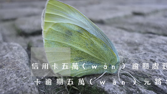 信用卡五萬(wàn)逾期處罰多少錢，信用卡逾期五萬(wàn)元，將會(huì)面臨多少罰款？