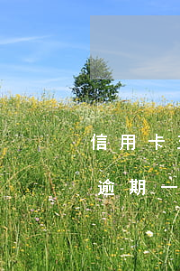 信用卡五萬逾期一天多少利息-5萬信用卡逾期一天利息多少
