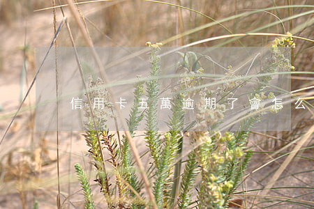 信用卡五萬逾期了會怎么辦