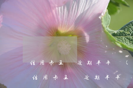 信用卡五萬逾期半年會(huì)坐牢嗎-信用卡五萬逾期半年會(huì)坐牢嗎