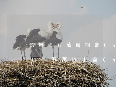 信用卡五萬逾期會(huì)怎么判刑(欠信用卡五萬以上會(huì)判刑嗎)