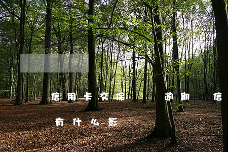 信用卡交保險會逾期嗎(信用逾期會對買保險有什么影響)