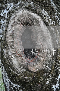 信用卡交水電費(fèi)算透支嗎(信用卡可以交水電費(fèi)和電話費(fèi)嗎?)