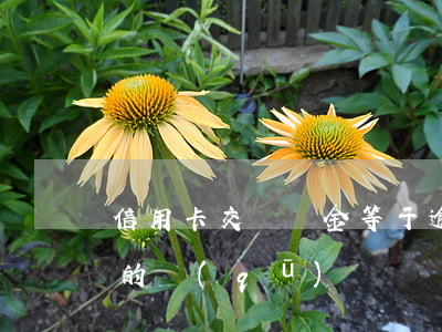 信用卡交滯納金等于逾期嗎(逾期費和滯納金的區(qū)別)