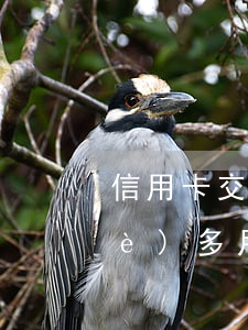 信用卡交行逾期3(交通信用卡逾期3個(gè)多月,如何協(xié)商處理)