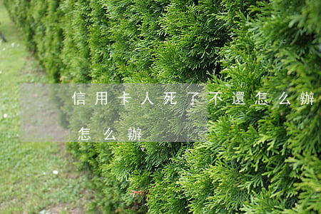信用卡人死了不還怎么辦(信用卡人死了不還怎么辦)