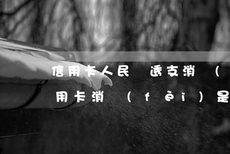 信用卡人民幣透支消費(fèi)功能(用信用卡消費(fèi)是支付手段嗎?)