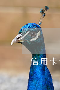 信用卡什么叫逾期還款