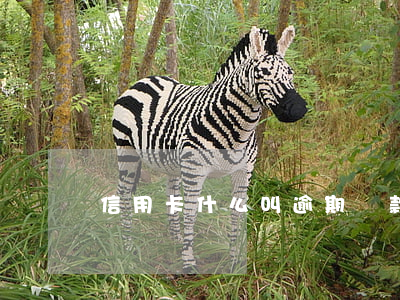 信用卡什么叫逾期還款(什么叫信用卡逾期了)