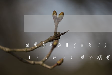 信用卡什么時(shí)候分期(信用卡什么時(shí)候分期有優(yōu)惠)