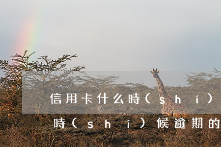 信用卡什么時(shí)候逾期(信用卡什么時(shí)候逾期的怎么查出來(lái))