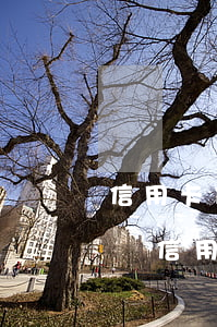 信用卡什么時(shí)候還款才不算逾期 還信用卡過幾天算逾期