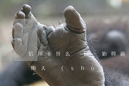 信用卡什么時候開始算逾期(怎么算信用卡逾期天數(shù))