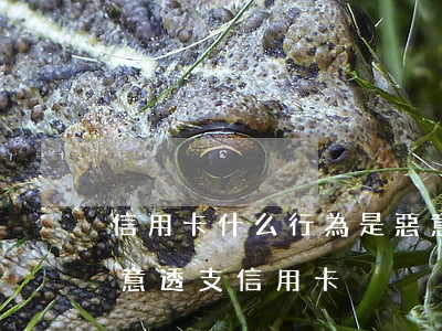 信用卡什么行為是惡意透支(什么情況算是惡意透支信用卡)