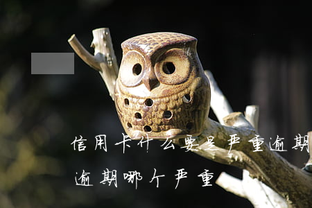 信用卡什么要是严重逾期(信用贷款和信用卡逾期哪个严重)