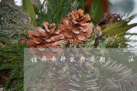 信用卡什么都逾期-沒注意信用卡逾期了