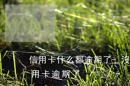 信用卡什么都逾期了-沒(méi)注意信用卡逾期了