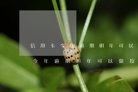 信用卡今年逾期明年可以做按揭么-信用卡今年逾期明年可以做按揭么嗎