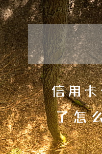 信用卡今年還不上怎么辦(今年信用卡還不起了怎么辦)
