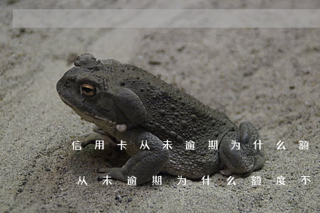 信用卡从未逾期为什么额度不升降-信用卡从未逾期为什么额度不升降了