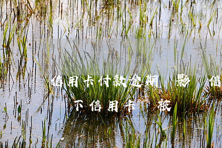 信用卡付款逾期會影響信用記錄嗎-什么情況下信用卡會被認為嚴重逾期