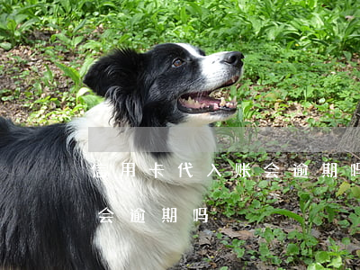 信用卡代入账会逾期吗还本金（信用卡代入账会逾期吗）