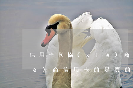 信用卡代協(xié)商怎么樣(幫協(xié)商信用卡的是真的嗎)