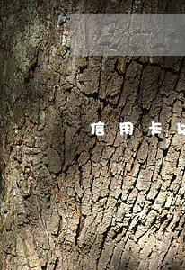 信用卡以前有逾期(信用卡以前有逾期)