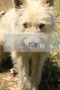 信用卡以前逾期60天(逾期60天信用卡解凍)