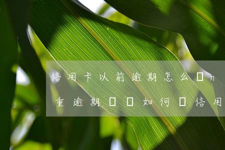信用卡以前逾期怎么辦n-有嚴(yán)重逾期記錄如何辦信用卡