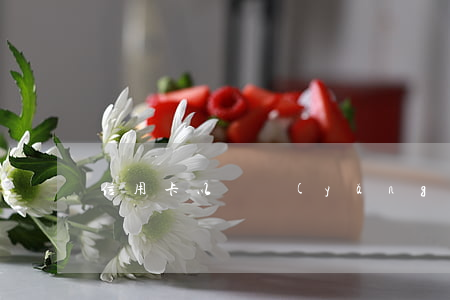 信用卡以貸養(yǎng)貸還是選擇逾期