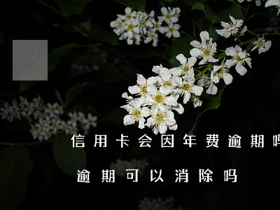 信用卡会因年费逾期吗(因信用卡年费产生的逾期可以消除吗)