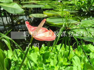 信用卡会被冻结吗（信用卡逾期被冻结是黑户了吗）