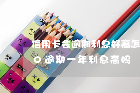 信用卡会逾期利息好高怎么办(信用卡3000逾期一年利息高吗)