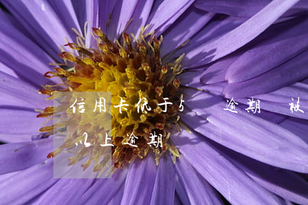 信用卡低于5萬逾期會被起訴嗎(信用卡5萬以上逾期)
