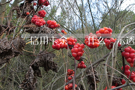 信用卡余額為什么顯示透支