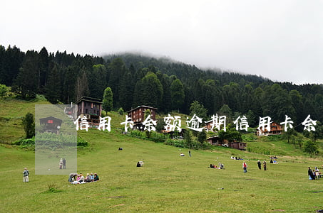 信用卡余额逾期(信用卡余额逾期)