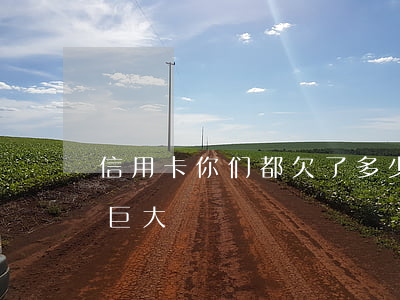 信用卡你们都欠了多少(欠信用卡多少算数额巨大)