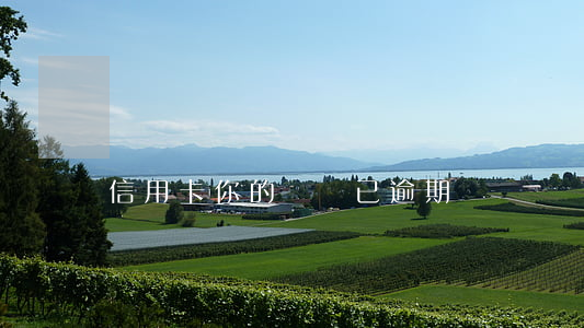 信用卡你的賬戶已逾期