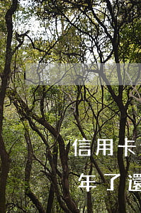 信用卡使用不到半年逾期(目前信用卡逾期半年了還是還不了,怎么辦)