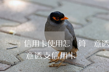 信用卡使用怎樣算惡意透支(什么情況算是惡意透支信用卡)